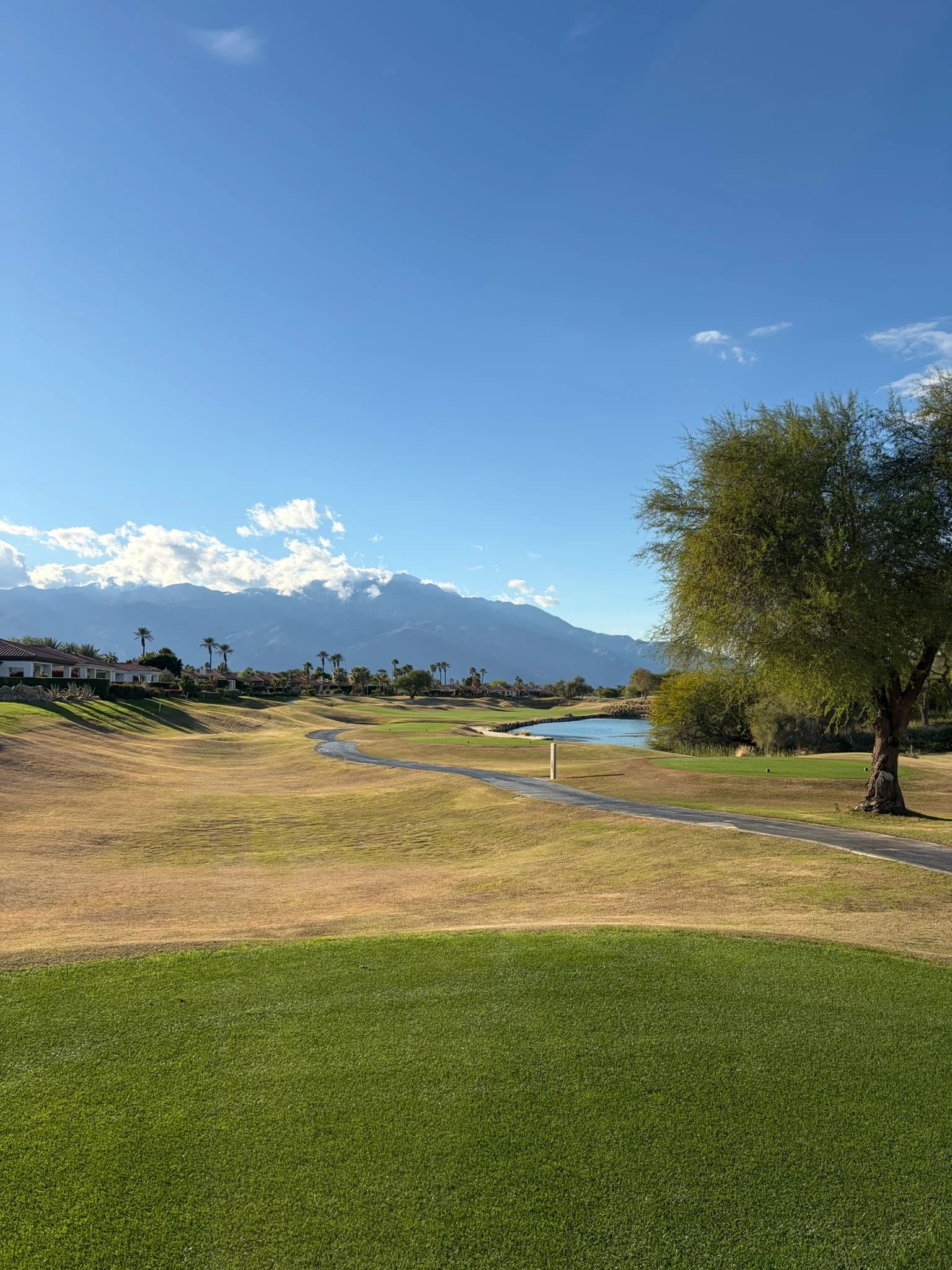 Mission Hills CC - Pete Dye course photo 4